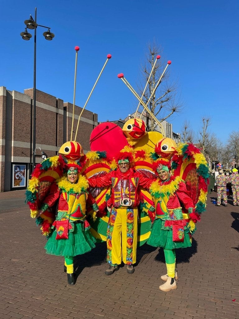 3 vlinder- en 2 drakenpakken zeer kleurrijk, Ophalen, Maat 52/54 (L), Overige thema's, Kleding