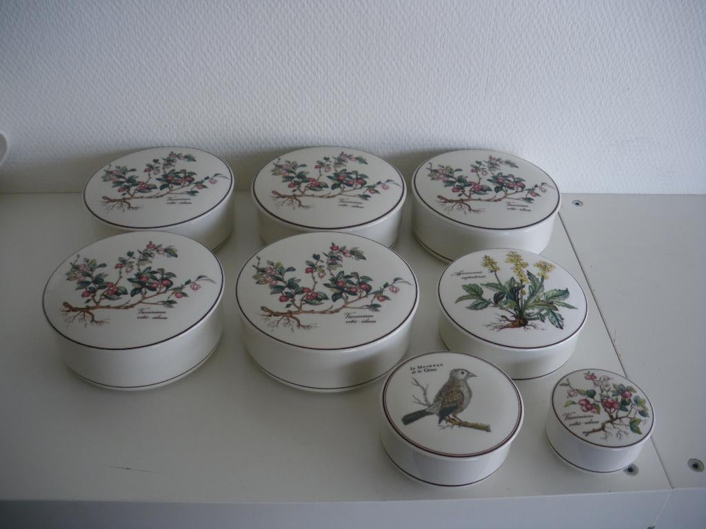 Villeroy & Boch Botanica dekseldoosjes, Ophalen of Verzenden, Zo goed als nieuw, Aardewerk, Bord(en)