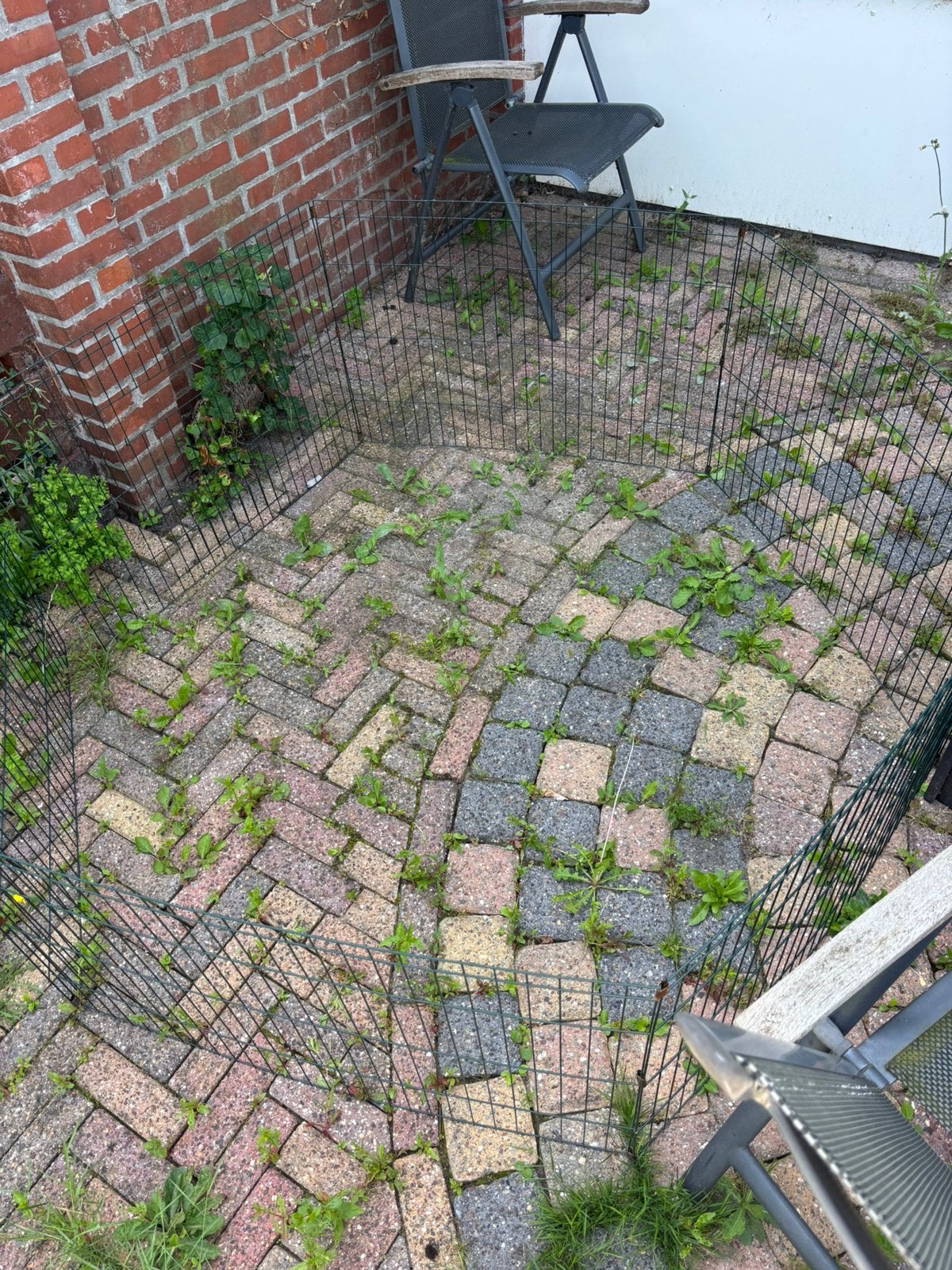 konijnenren + net, Dieren en Toebehoren, Ophalen, 110 cm of meer, Ren, 60 tot 90 cm