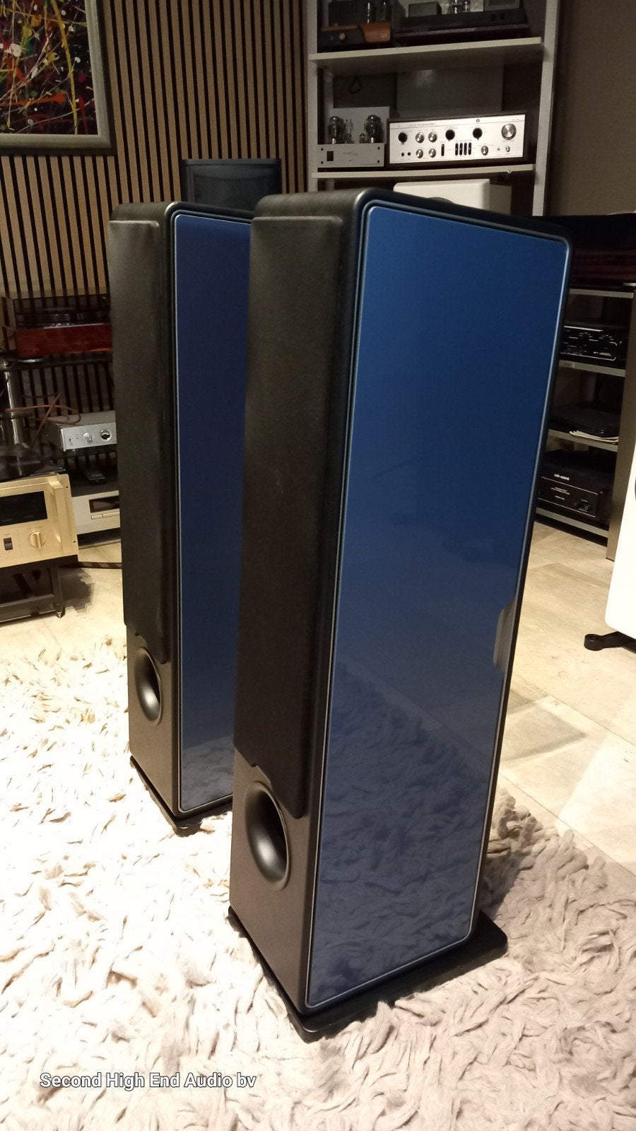 Sonus Faber Chameleon T, lekkere kekke speakers, 120 tot 150 watt, Zo goed als nieuw, Sonus Faber, Via Antonio Meucci 10, 36057 Arcugnano, Italië