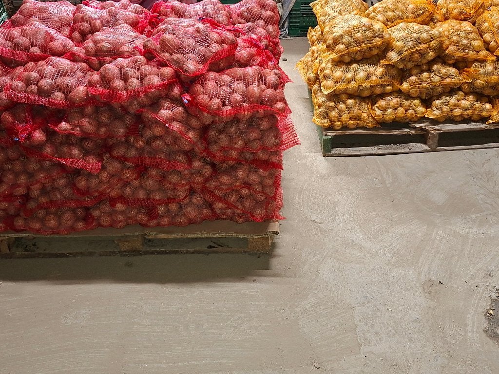 Nieuwe Aardappels bildtstar, uien nieuwe oogst., Ophalen
