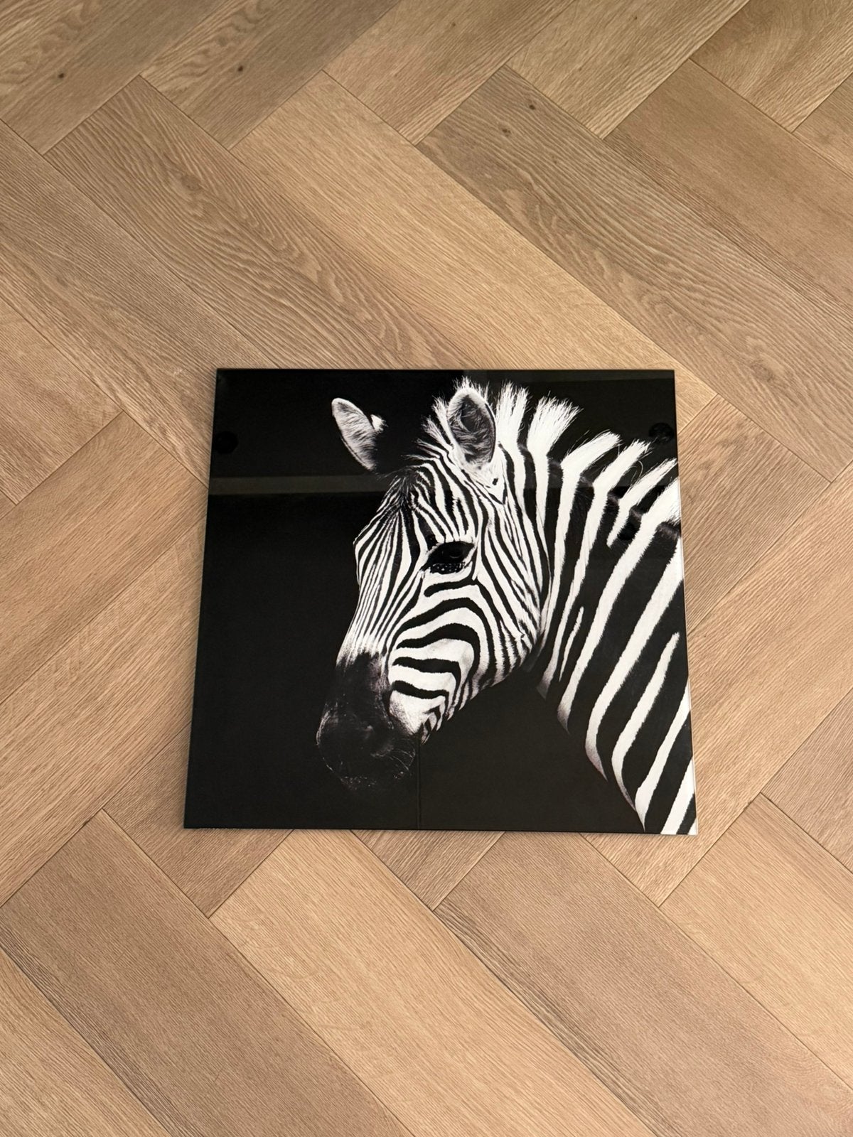 Wanddecoratie plexiglas 50x50, Afrikaans, Verzenden, Zo goed als nieuw, Overige typen