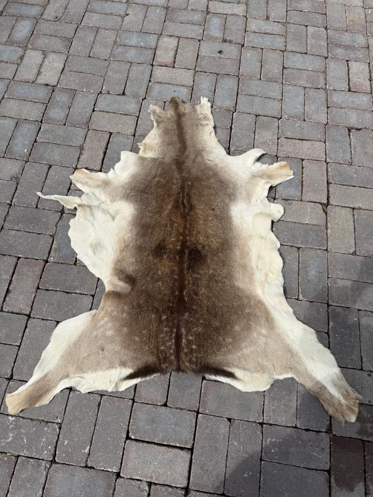 Hertenvel - Decoratief en Natuurlijk, Gebruikt, Meerkleurig, Ophalen of Verzenden, Landelijk