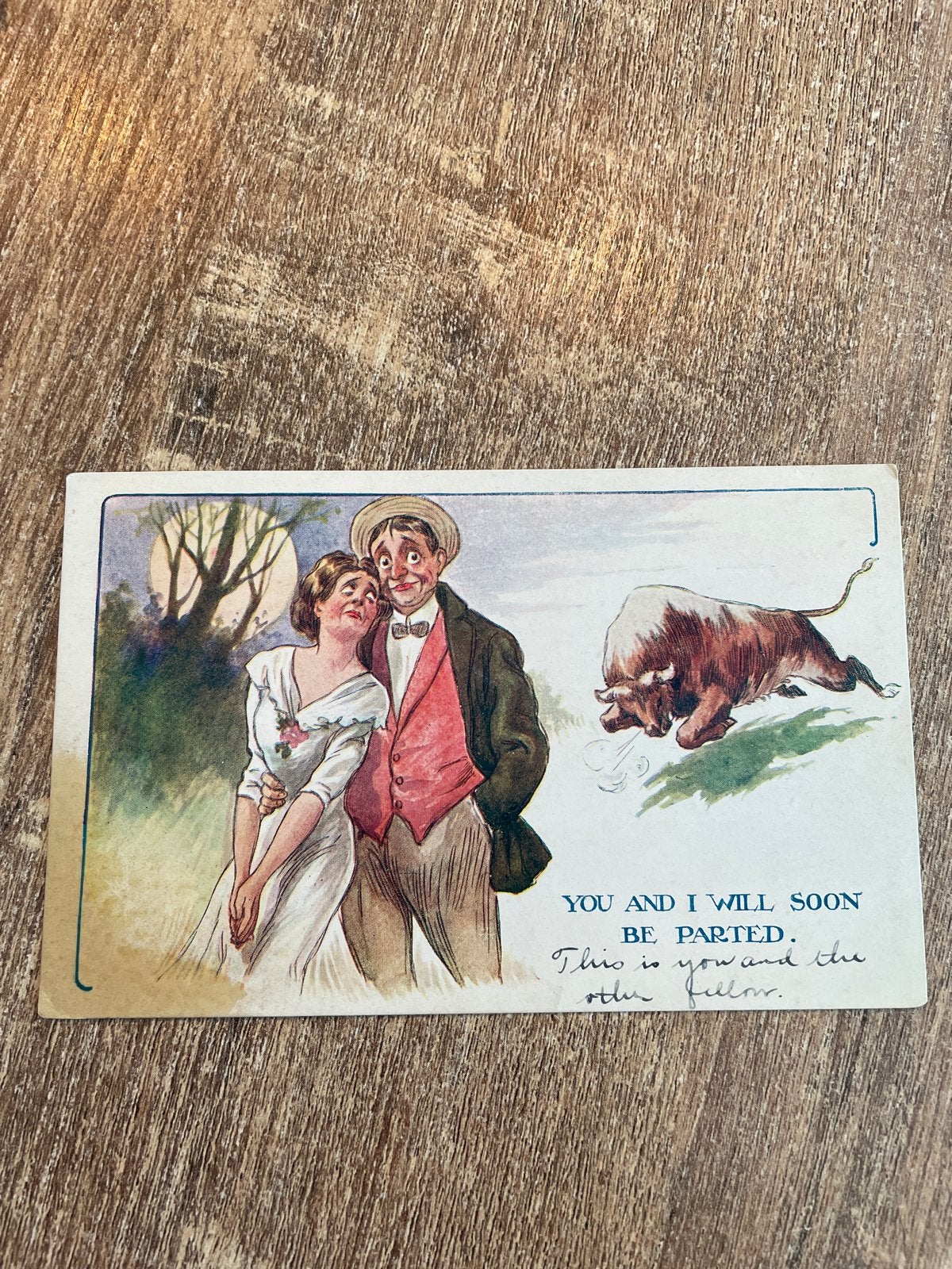 Antieke prentbriefkaart: Humoristische scène met stier, Ophalen of Verzenden, Gelopen, Overige thema's