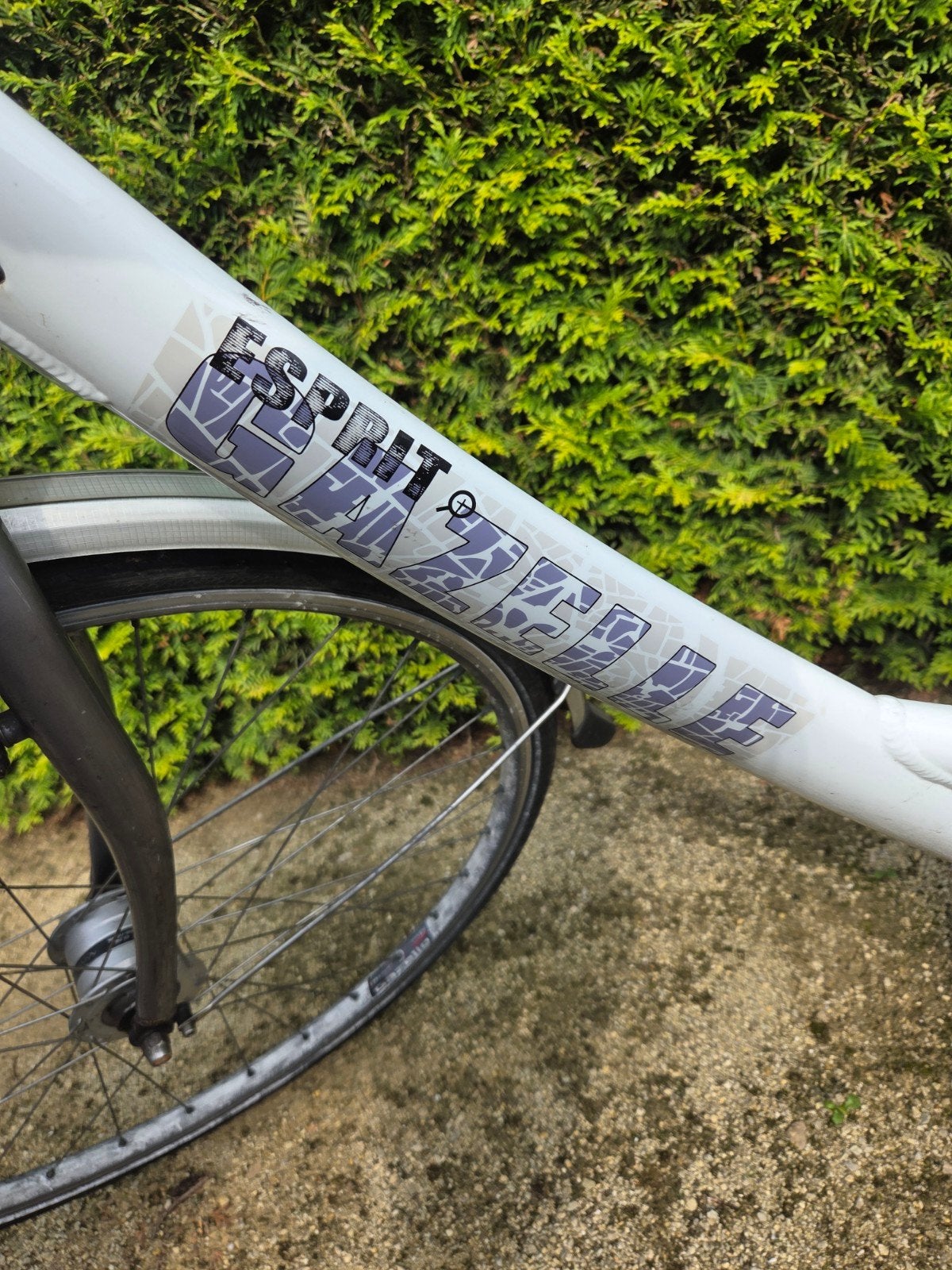 Gazelle Esprit Dames/Meisjesfiets 28 inch, 3 versnellingen, Ophalen of Verzenden