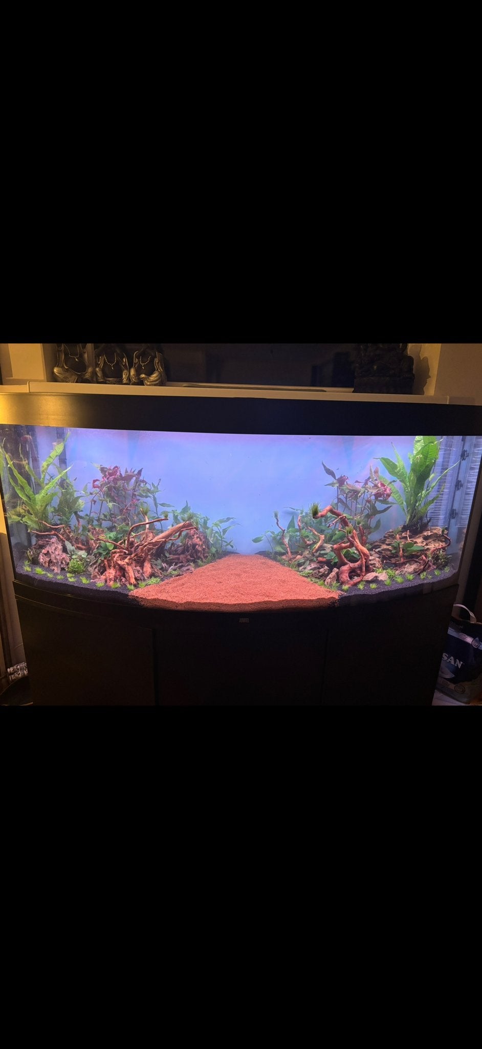 Juwel Vision 450 zeer uitgebreid, ZIEN!, Ophalen, Inclusief controller, Gebruikt, Gevuld zoetwateraquarium