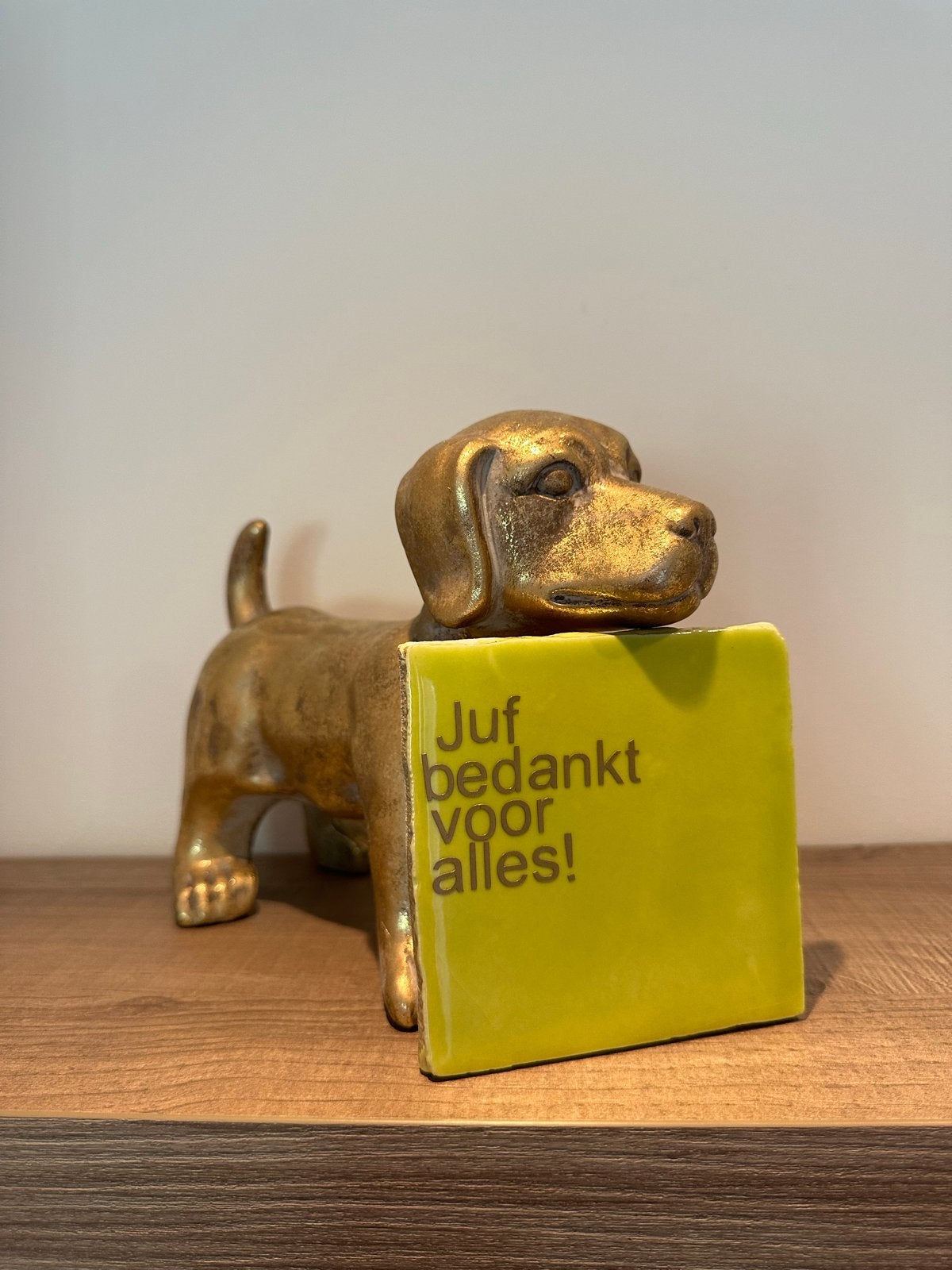 Tegeltje bedankje voor schooljaar - Juf bedankt voor alles, Ophalen of Verzenden