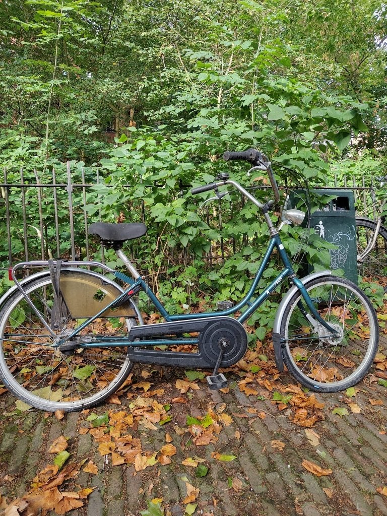Van Raam balans fiets, Ophalen, Gebruikt, Staal, Van Raam