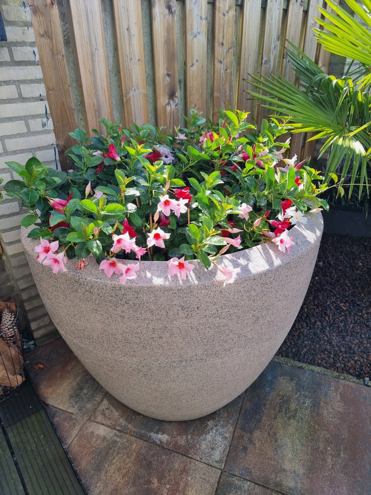 Grote bloempot van kunststof voor buiten, Ophalen, Kunststof, Gebruikt, 40 cm of meer