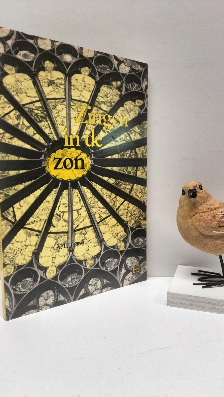 Troost, Ds. A.F.; Zingen in de zon, Ophalen of Verzenden, Gelezen, Christendom | Protestants
