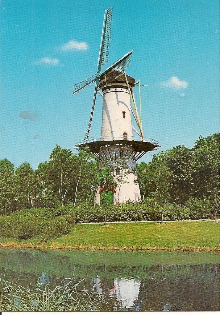 Ansichtkaart Tholen, Holland - De Hoop Korenmolen, Ophalen of Verzenden, 1960 tot 1980, Ongelopen, Zeeland