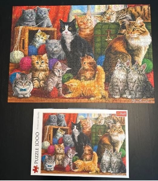 Trefl Puzzel 1000 Stukjes - Katten Kittens Poezen NIEUWSTAAT, Hobby en Vrije tijd, Denksport en Puzzels, Ophalen of Verzenden
