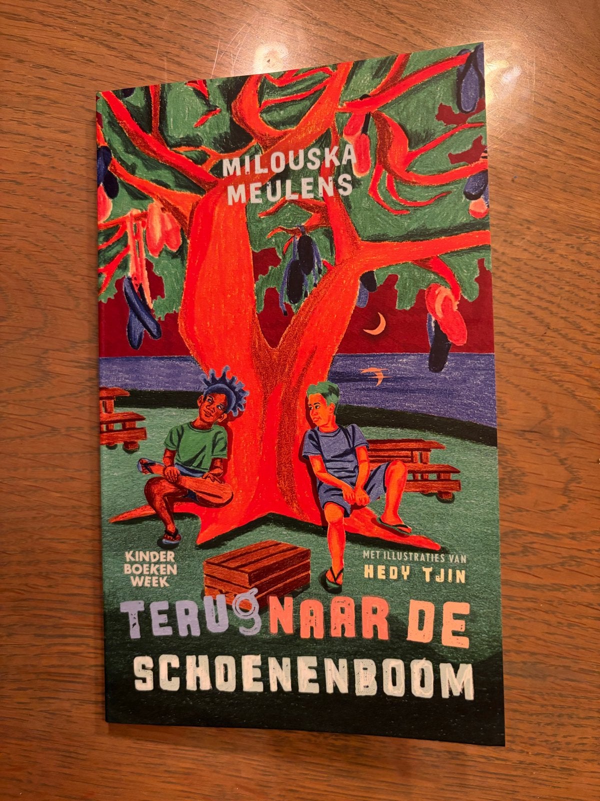 Kinderboekengeschenk: Terug naar de schoenenboom + pretpark, Ophalen of Verzenden, Nieuw, Fictie algemeen