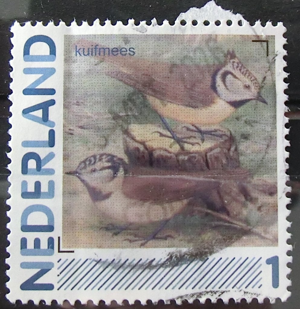 persoonlijke postzegel, Vogels, gest (lees aub), Ophalen of Verzenden, Na 1940, Gestempeld