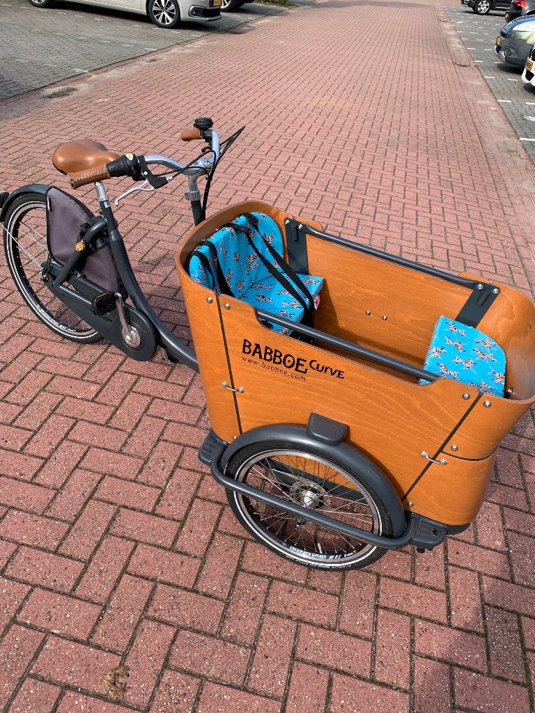 Babboe Curve bakfiets (goedgekeurd), niet elektrisch, Fietsen en Brommers, Gebruikt, Ophalen, Overige merken, 4 kinderen of meer