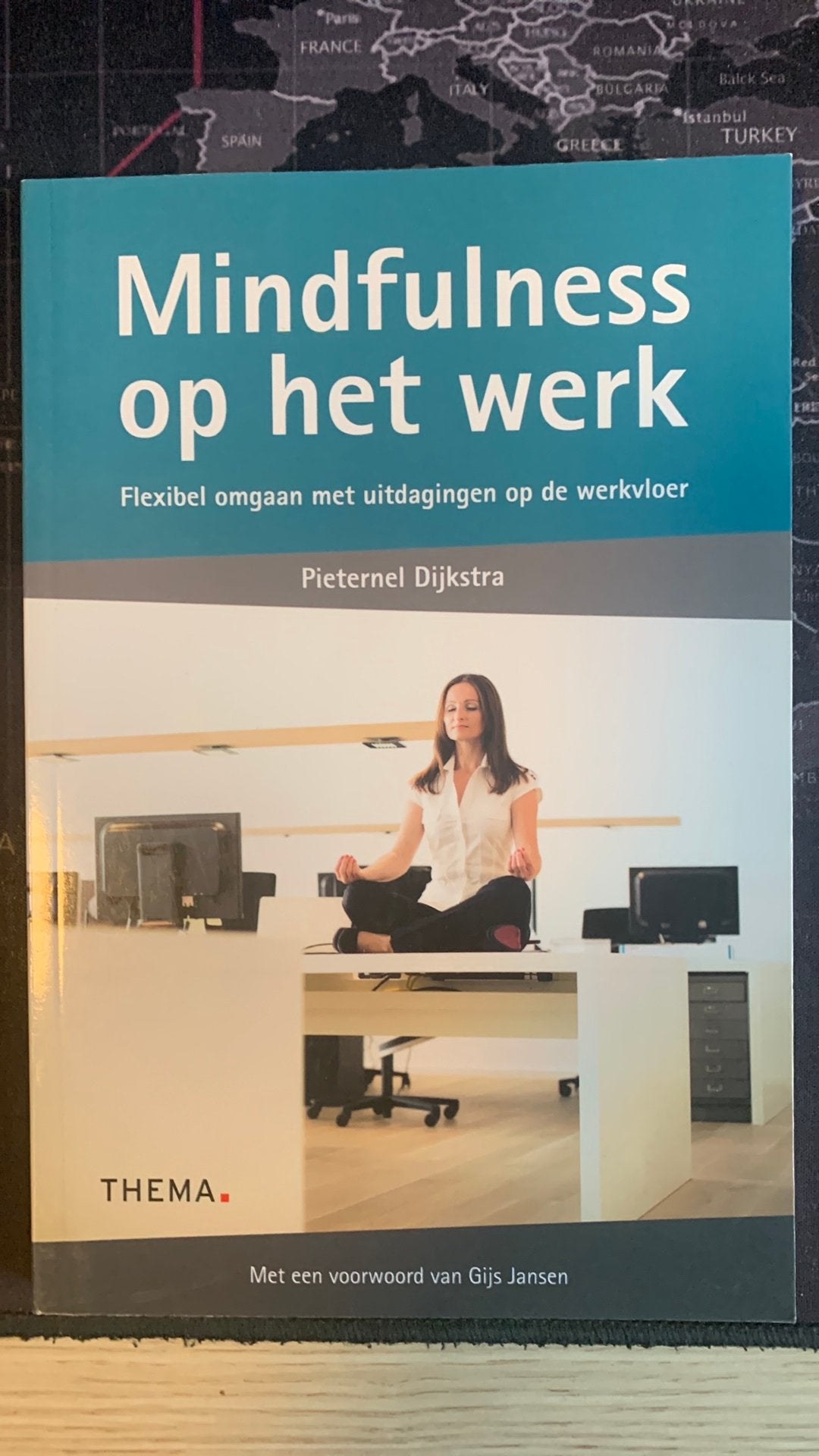 Pieternel Dijkstra - Mindfulness op het werk, Boeken, Ophalen of Verzenden, Zo goed als nieuw, Pieternel Dijkstra