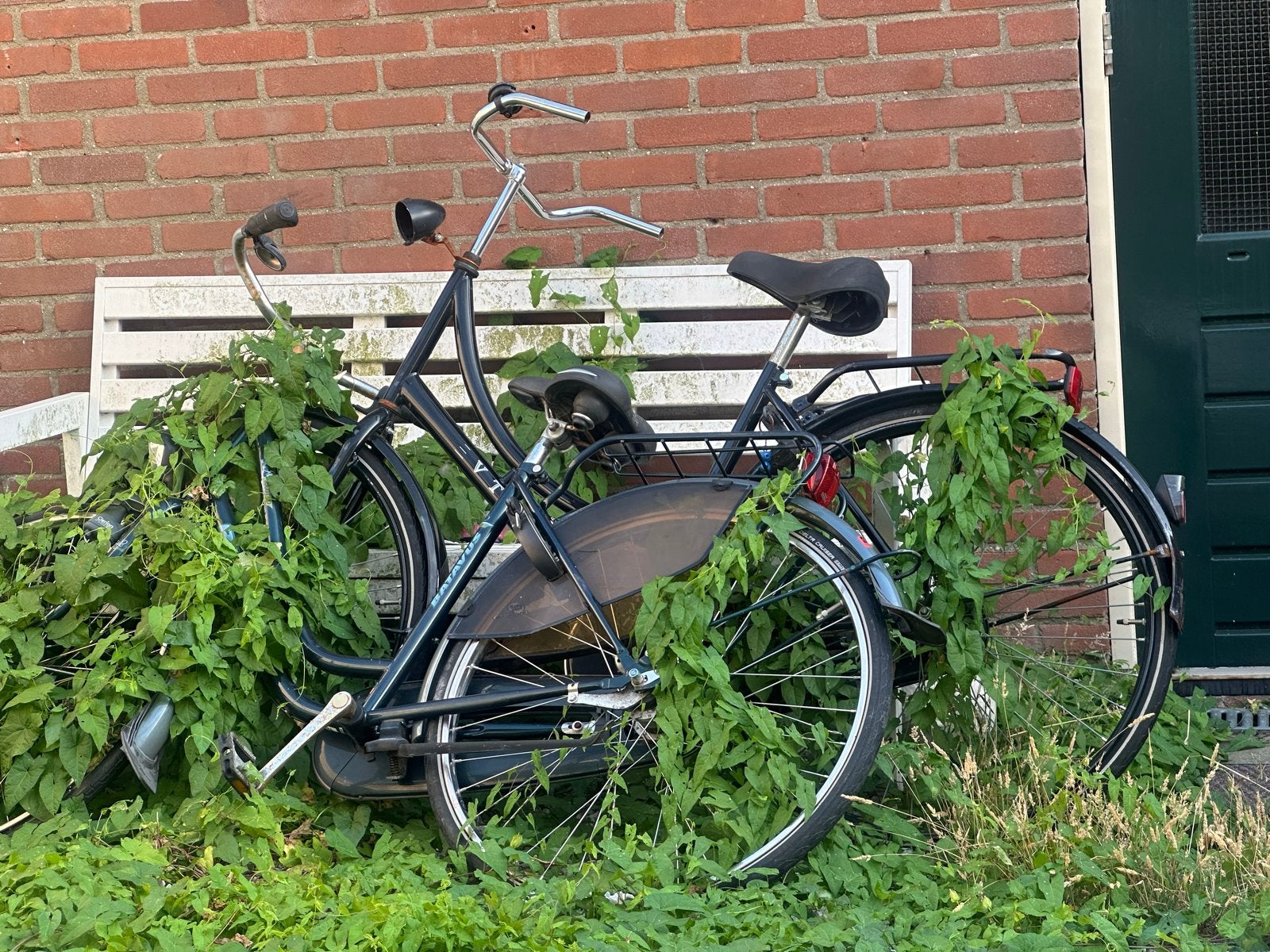 Oude Batavus fiets - opknapper of voor onderdelen, Fietsen en Brommers, Ophalen, Terugtraprem, Batavus, 53 tot 56 cm