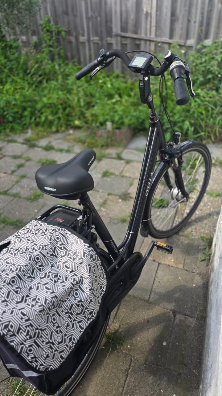 Elektrische fiets, Ophalen, Gebruikt, Handrem, 50 tot 53 cm
