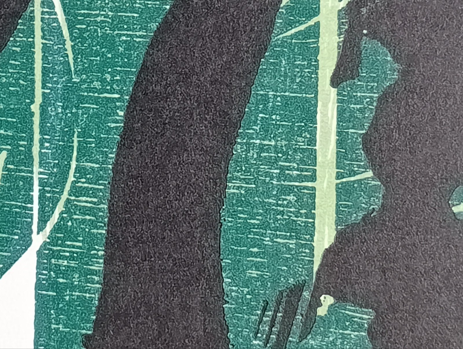 Litho / Zeefdruk, Ophalen of Verzenden