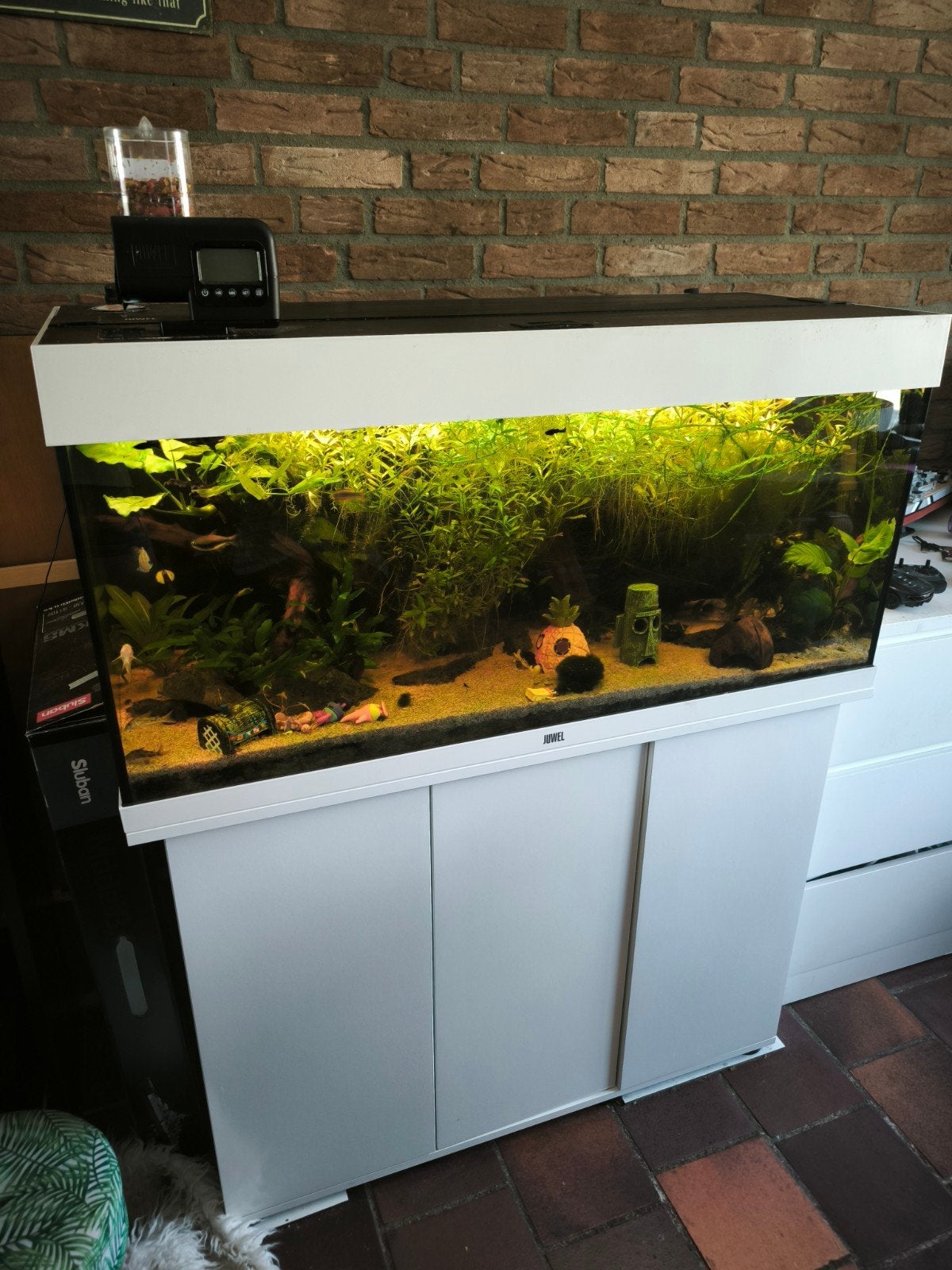 Juwel Rio 180 met Helialux en smartcontrol, Dieren en Toebehoren, Ophalen, Inclusief vissen, Juwel, Gevuld zoetwateraquarium