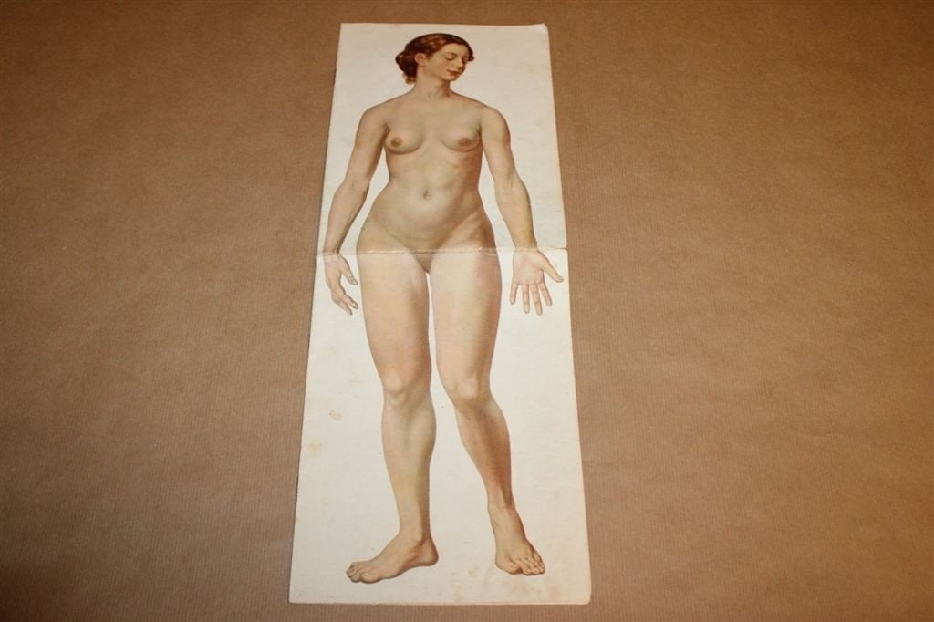 Zeldzaam groot anatomisch model [vrouw] - Circa 1910 !!, Antiek en Kunst, Ophalen of Verzenden