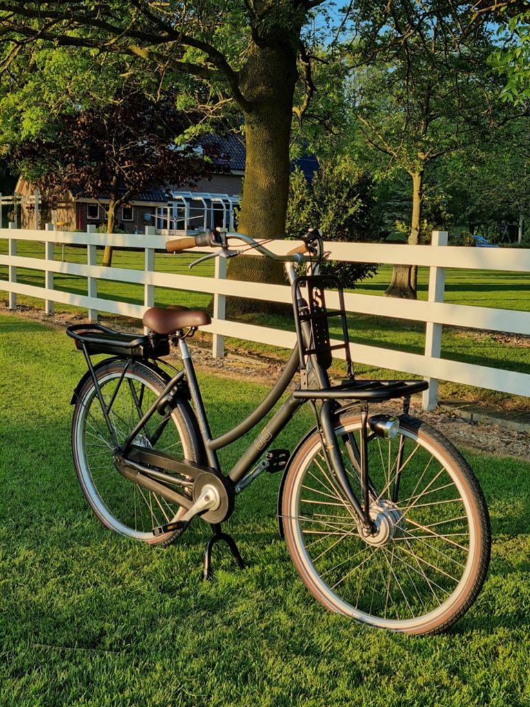 Cortina U5 ecomo elektrische transportfiets, 51 tot 55 cm, Ophalen, Zo goed als nieuw, Overige merken