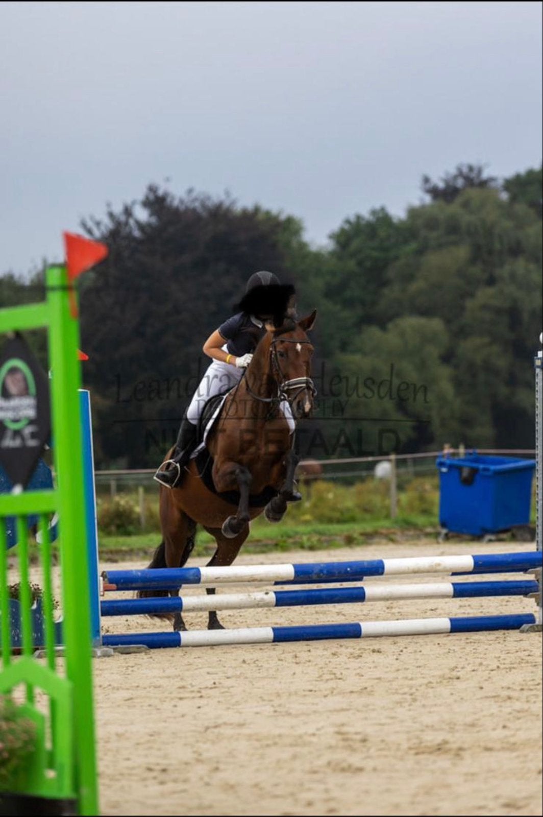 Ponyles in eemnes-leren paardrijden op pony’s, Ophalen