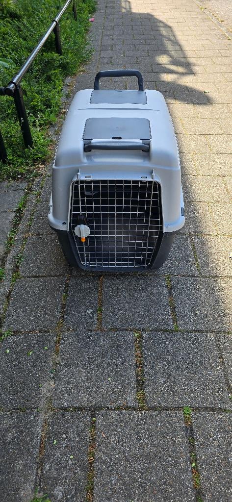 Transport box hond, Ophalen of Verzenden, Gebruikt