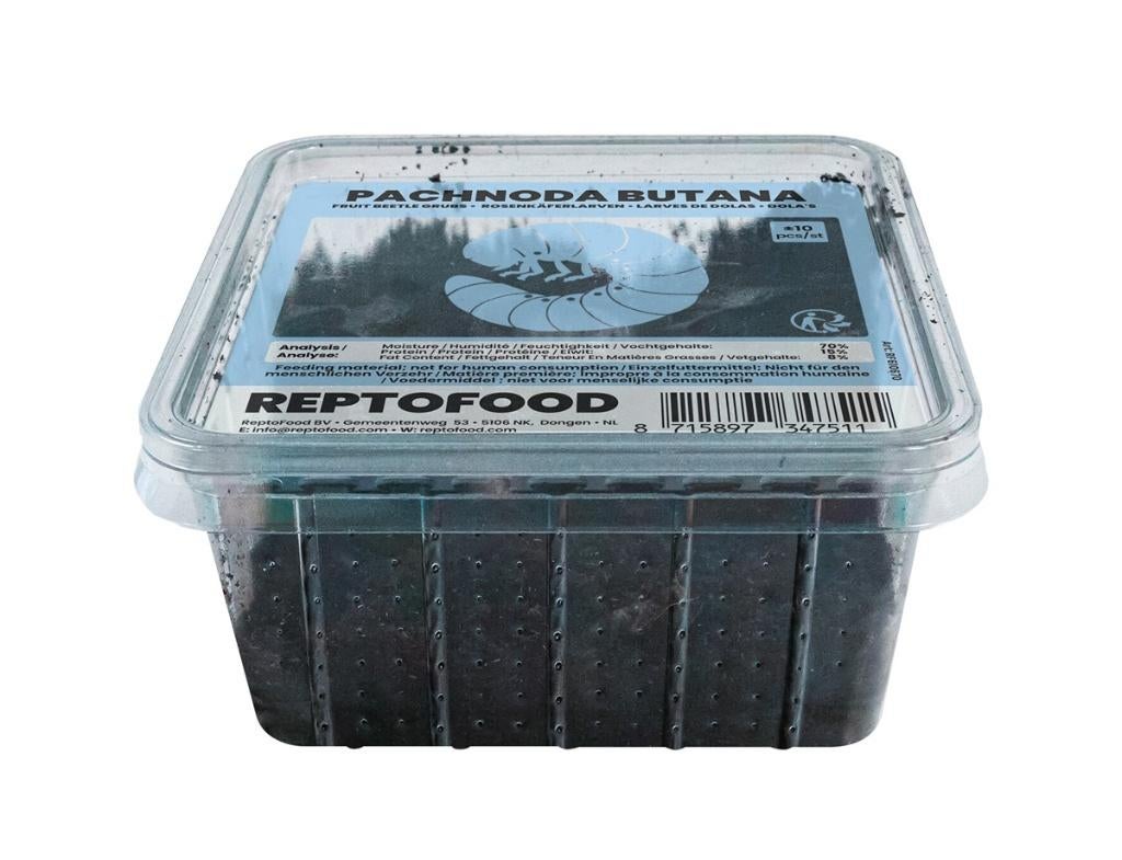 Verse voerinsecten!, Nieuw, Info@aquadistri, Eten en Drinken, Aquadistri