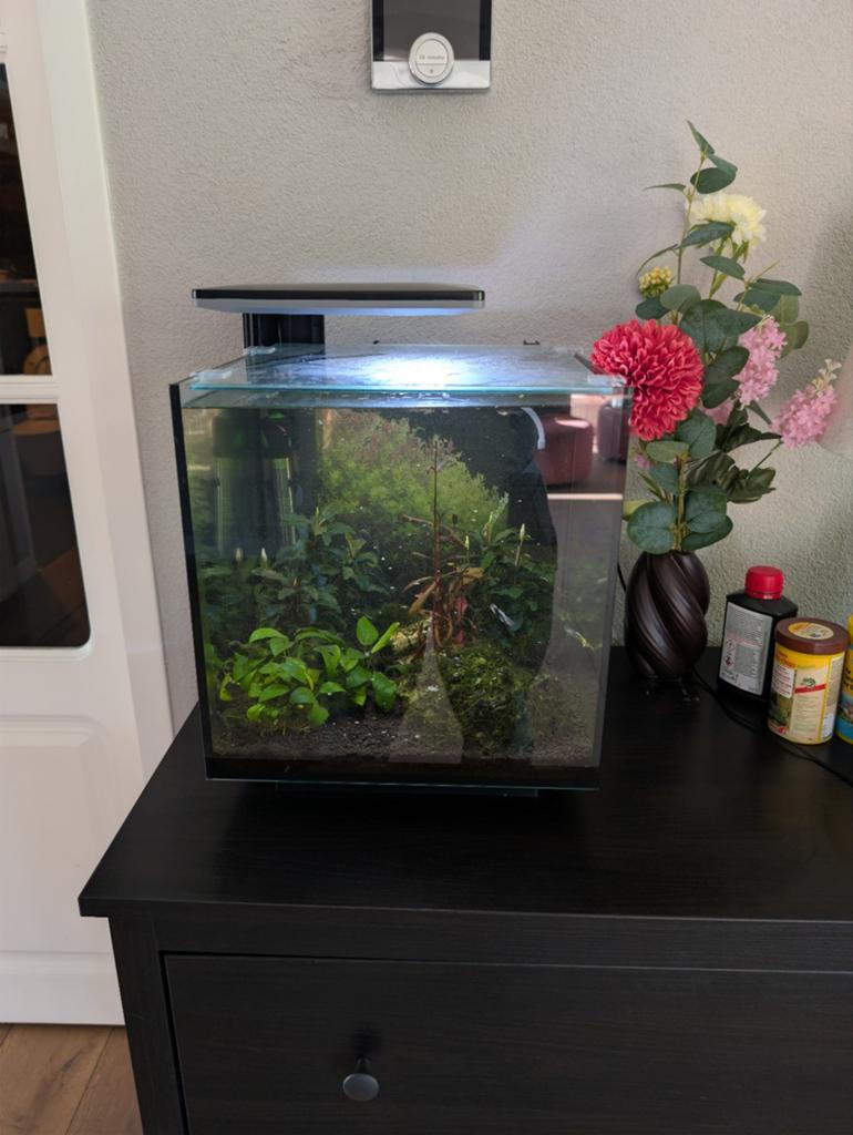 Compleet aquarium., Ophalen, Gebruikt, Gevuld zoetwateraquarium, Superfish