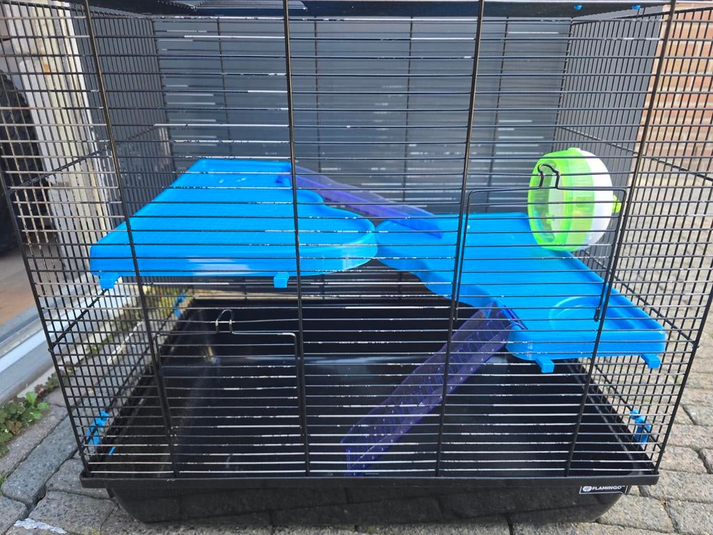 Hamsterkooi, Dieren en Toebehoren, Knaagdieren en Konijnen | Hokken en Kooien, Ophalen