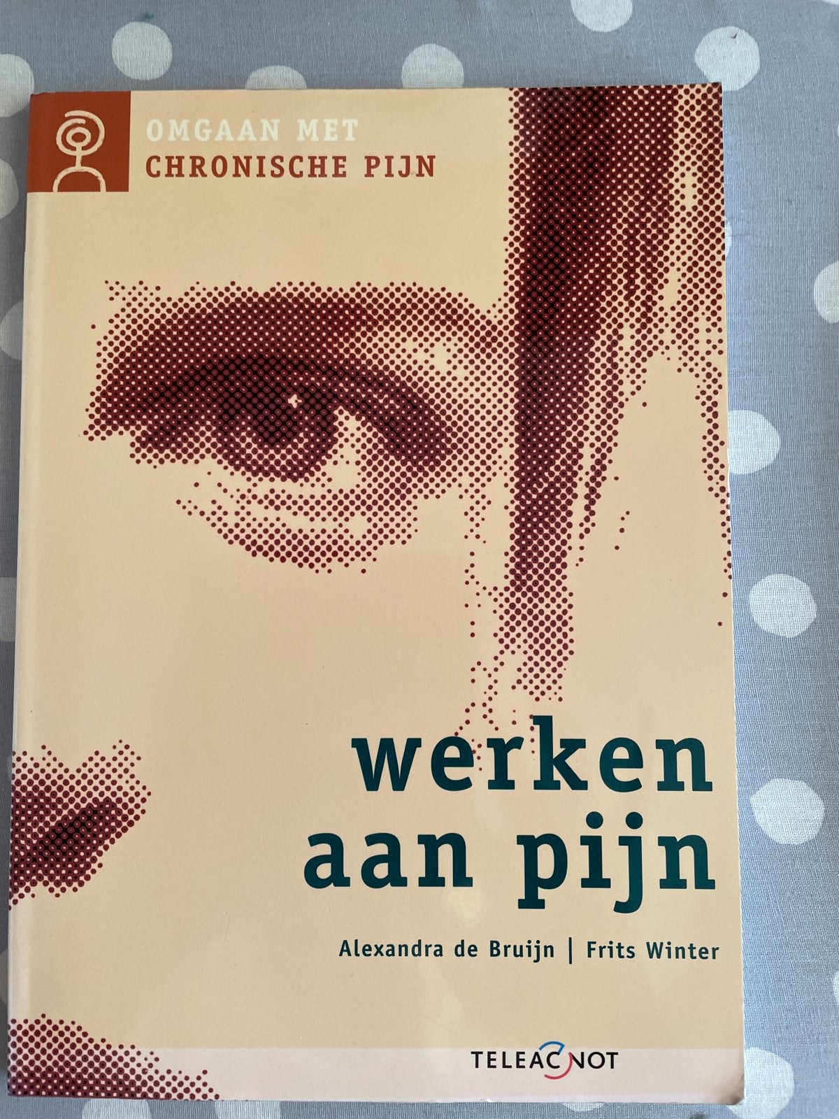 Werken aan pijn: Omgaan met chronische pijn, Ophalen of Verzenden, Gelezen, Gezondheid en Conditie