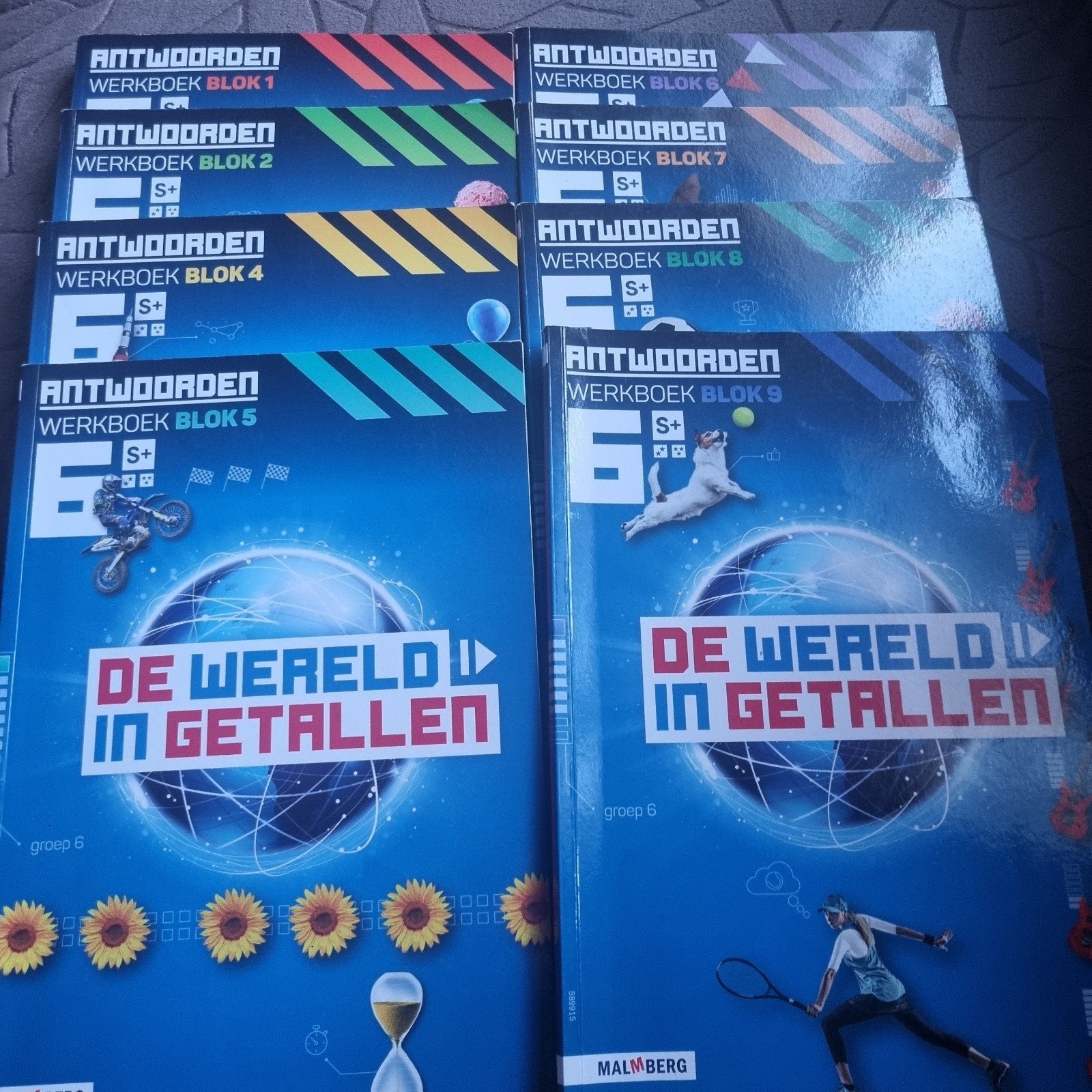 Groep 6 De Wereld in Getallen Antwoorden Werkboek Groep 6, Ophalen of Verzenden, Gelezen, Malmberg