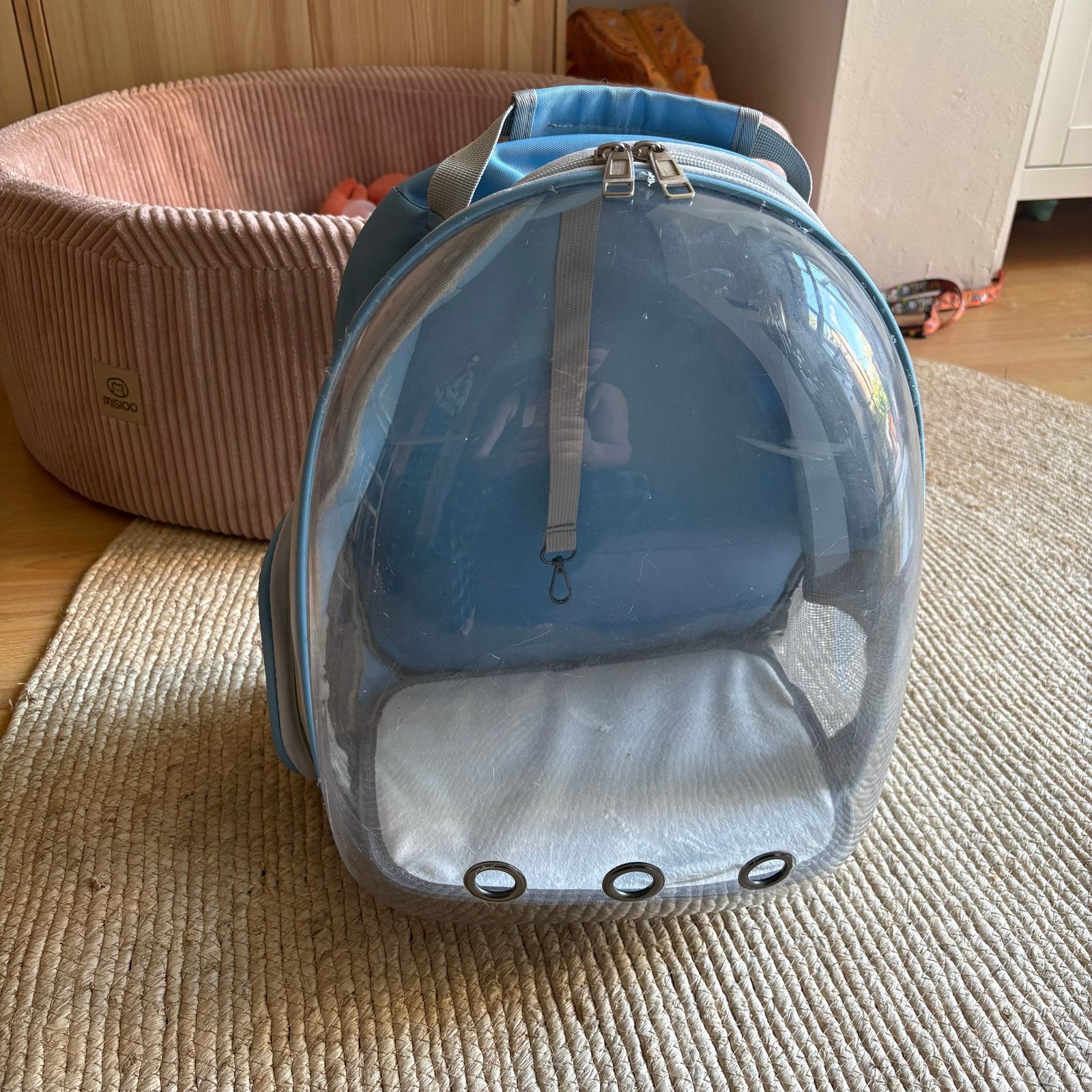Transport tas kat, Ophalen of Verzenden