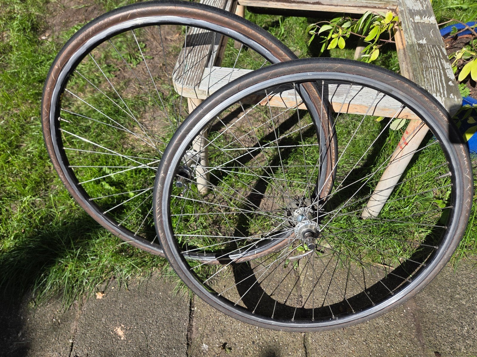 wielen campagnolo 8 speed, Ophalen of Verzenden, Wiel, Campagnolo