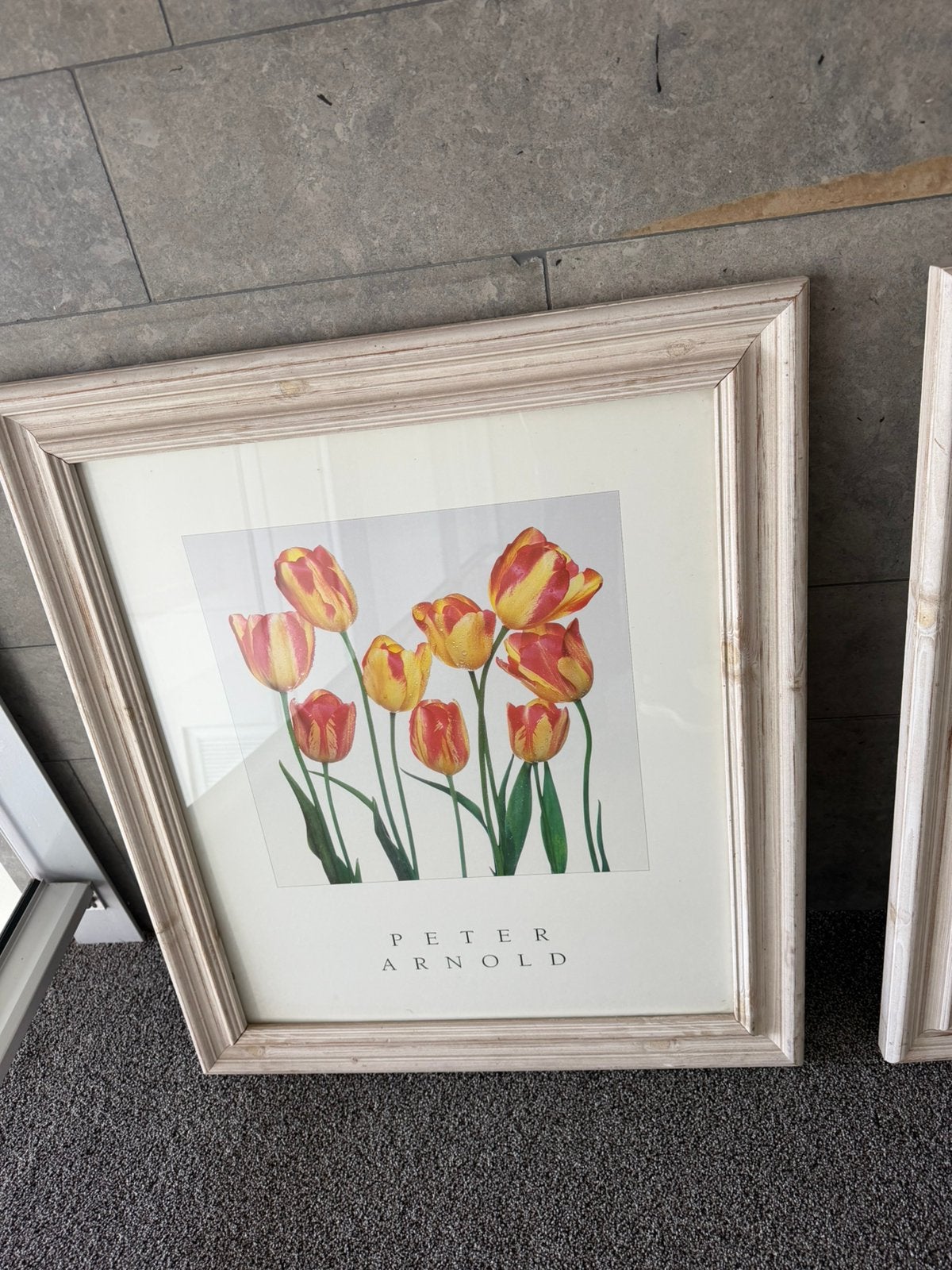 Peter Arnold 2x prenten met houten lijst schilderij, Ophalen, Zo goed als nieuw, Minder dan 50 cm, Schilderij
