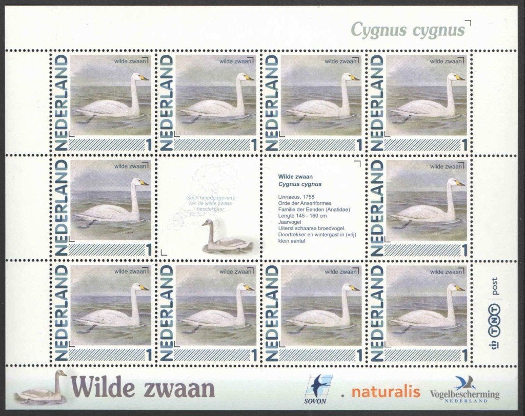 Postzegels vogels in Nederland: Wilde zwaan, Postzegels en Munten, Ophalen of Verzenden, Na 1940, Postfris