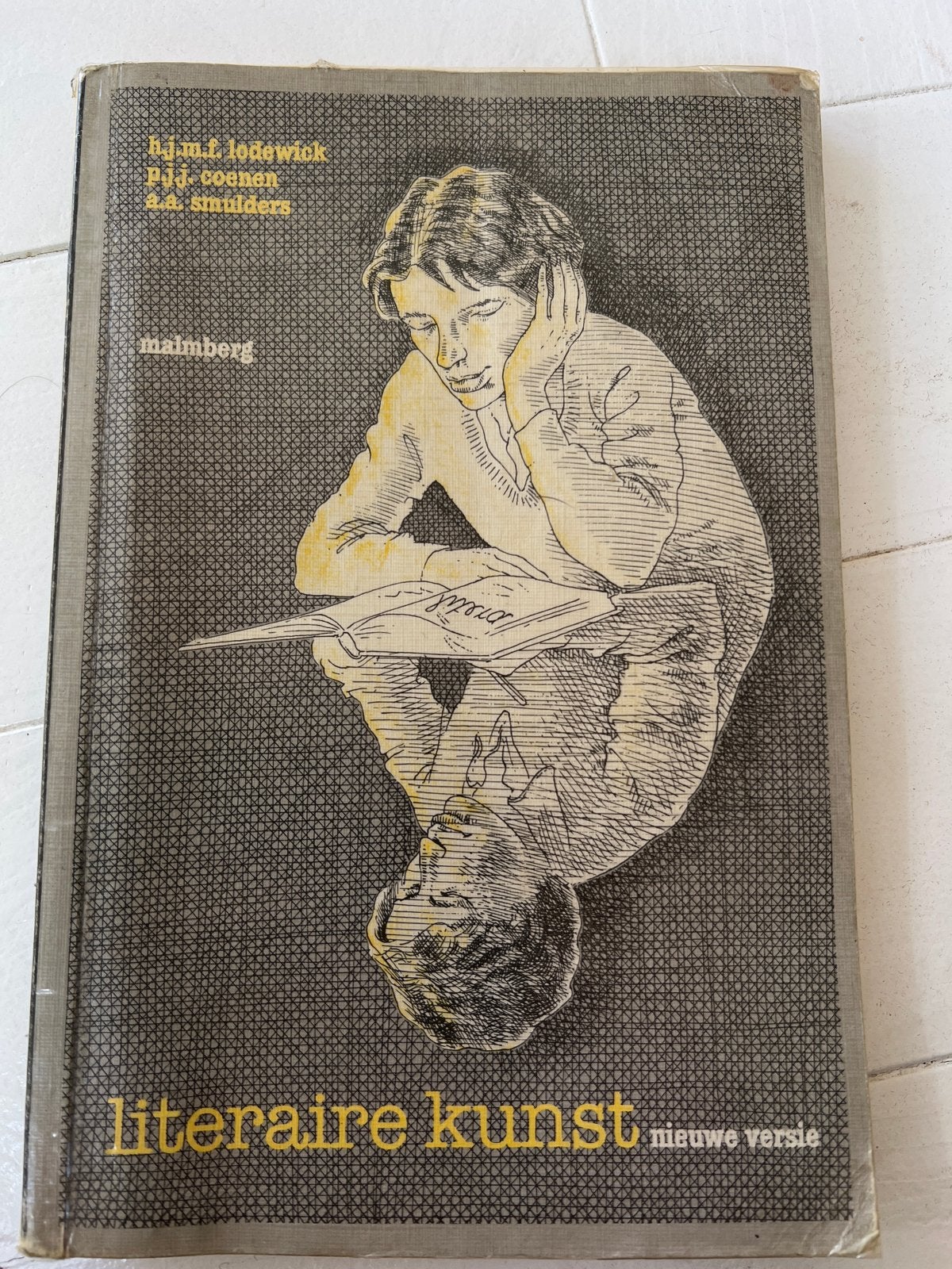 Literaire Kunst Nieuwe Versie - B.J.M.F. Lodewick, Boeken, Ophalen of Verzenden, Gelezen, Nederland