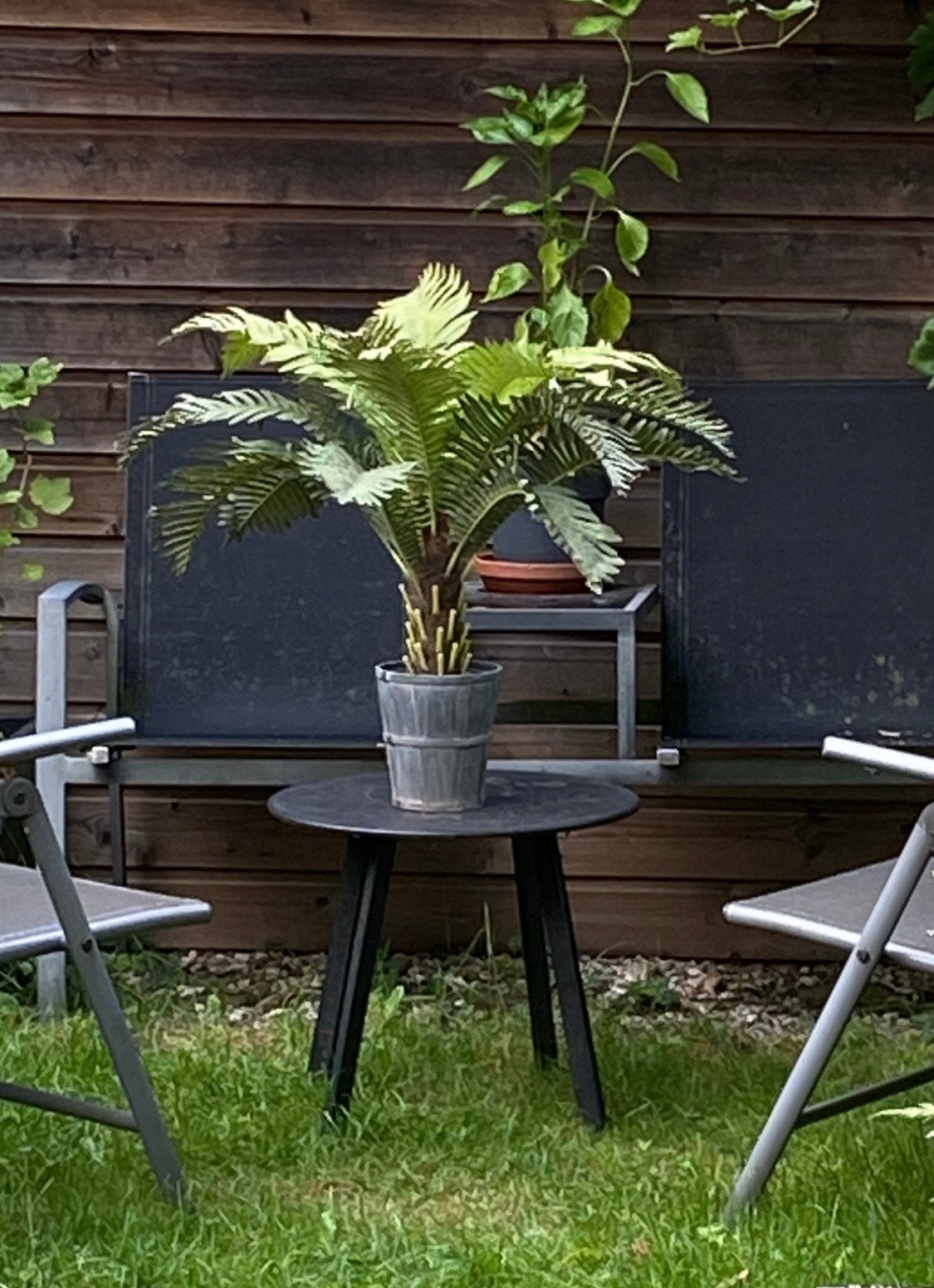 Ikea Fejka grote kunstplant, varen, palm in sierpot, 70 cm, Kunstplant, Overige materialen, Ophalen of Verzenden