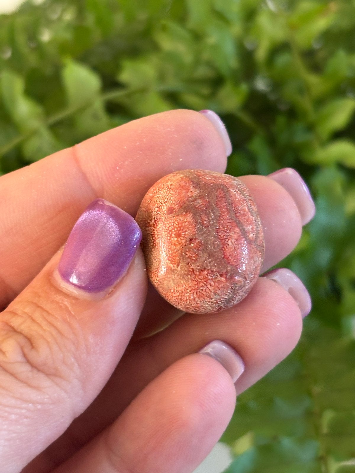 Koraal 4 gram - Uniek stukje natuur, Vanbeeksaar4@gmail.com, Nieuw, Ophalen of Verzenden, Schimmelstraat 5