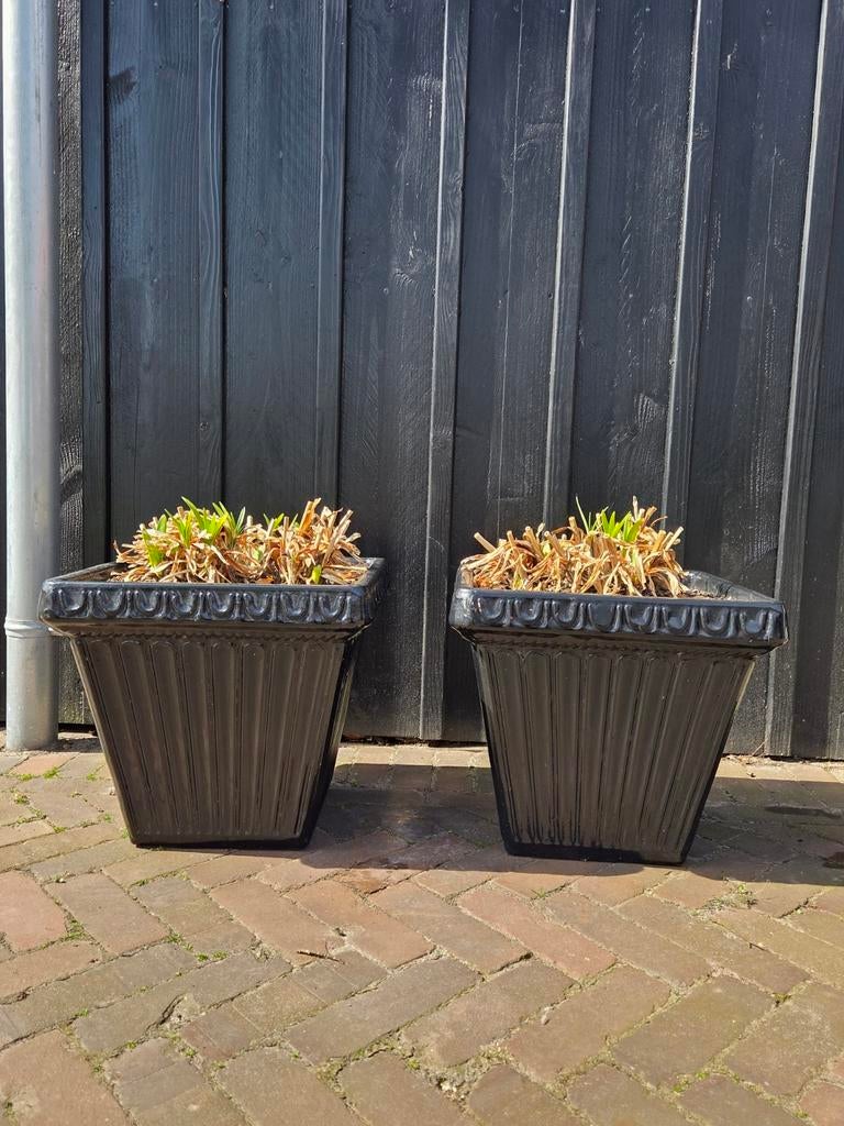 2 grote zwarte terracotta bloempotten met agapanthus, Tuin en Terras, Bloembakken en Plantenbakken, Steen, Vierkant, Ophalen of Verzenden