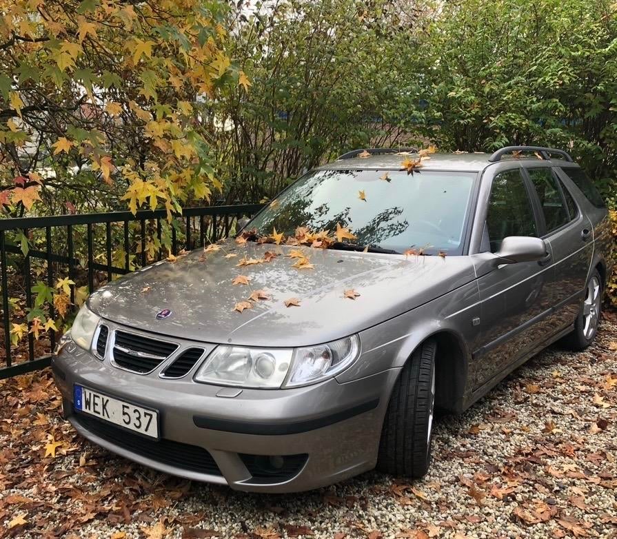 Saab 9-5 Onderdelen: Plaatwerk, Deuren, Verlichting, Interie, Sweden, Gebruikt, Ophalen of Verzenden, Saab