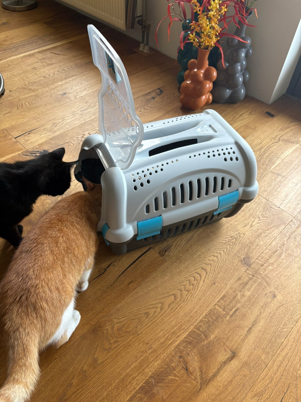 Katten reis mand, Dieren en Toebehoren, Katten-accessoires, Ophalen, Gebruikt