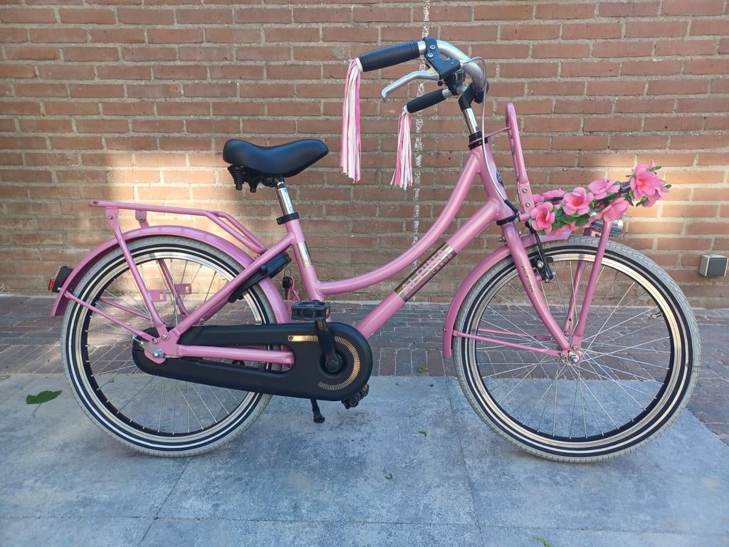 Alpina cargo 20inch, Ophalen, Gebruikt, 20 inch