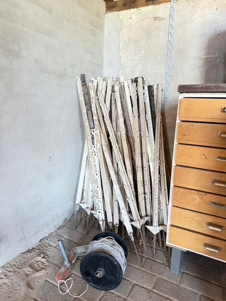 Flexibele weidepalen te koop, Meerdere dieren, Varken