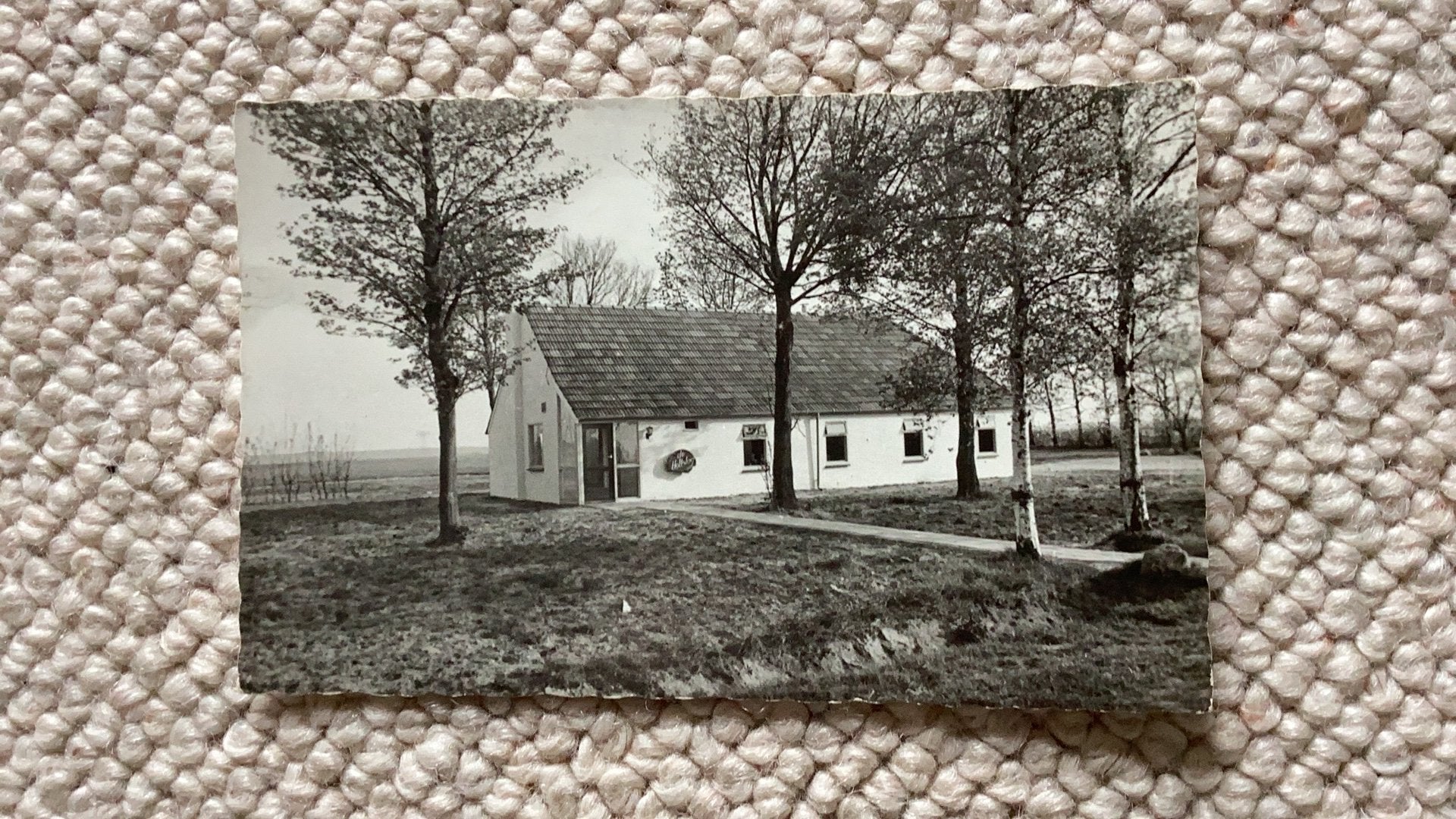 Ansichtkaart Ees bij Borger “De Holtslag” 1967. 987, Ophalen of Verzenden, 1960 tot 1980, Gelopen, Drenthe