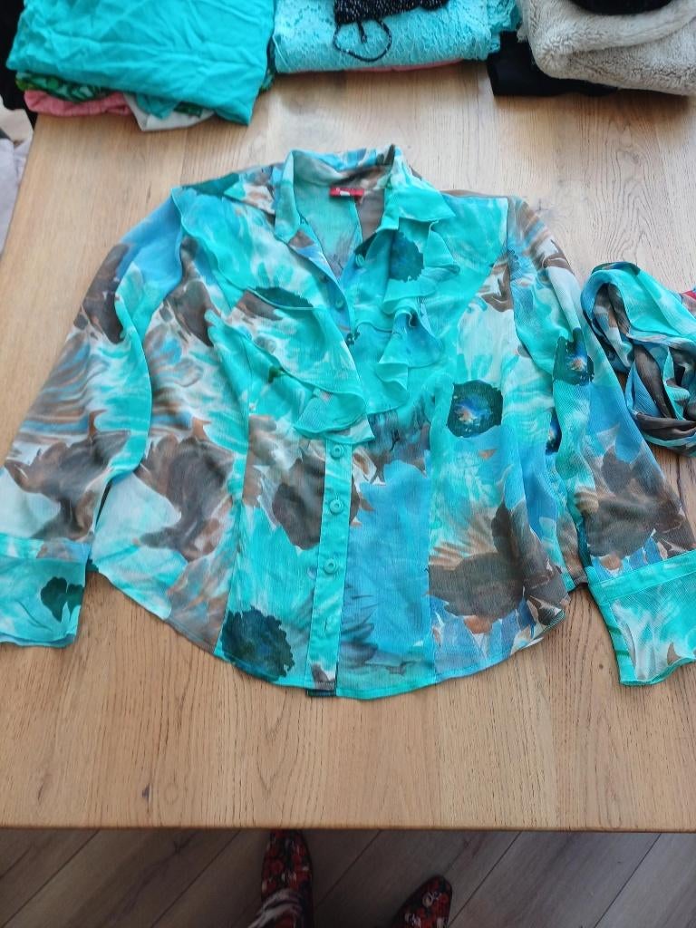 Nieuwe blouse van Edgar Vos maat 44, Kleding | Dames, Blouses en Tunieken, Blauw, Maat 42/44 (L), Nieuw, Edgar Vos