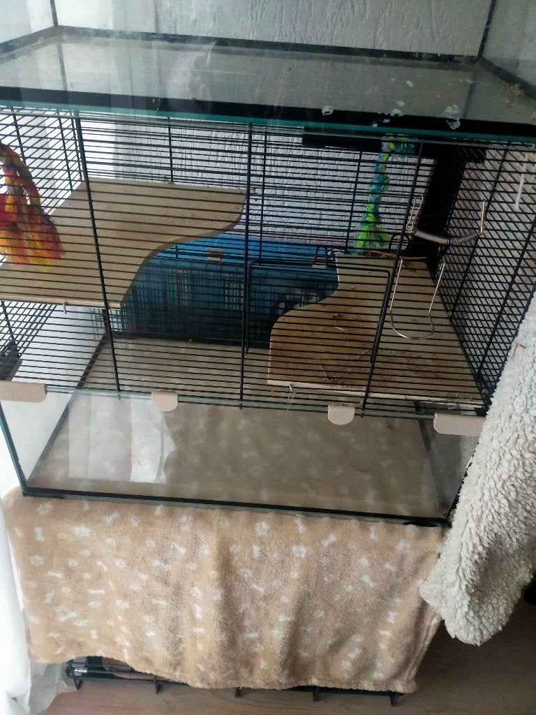 Knaagdierenkooi, Kooi, Gebruikt, Minder dan 75 cm, Muis
