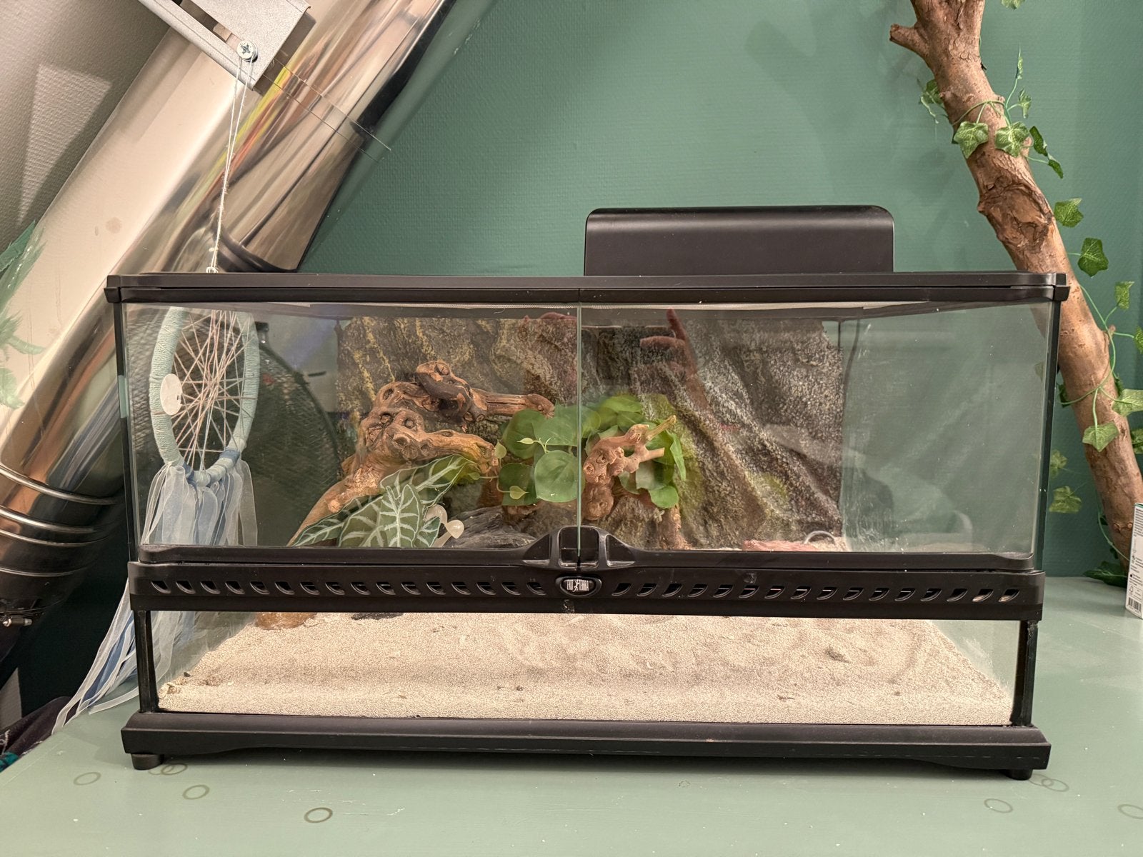 Exo Terra Terrarium 60x45x33 – COMPLEET + accessoires, Ophalen, Gebruikt, Terrarium of Paludarium