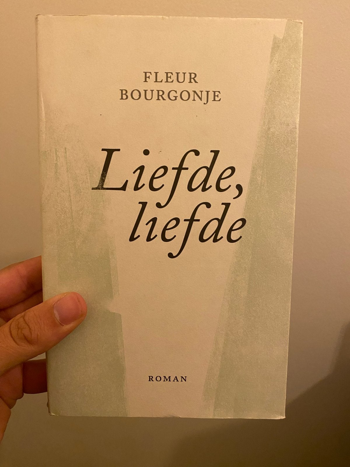 Liefde, liefde - Fleur Bourgonje (Roman), Ophalen of Verzenden, Zo goed als nieuw, Nederland